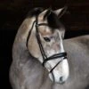 Cottage Craft Flash Bridle Black