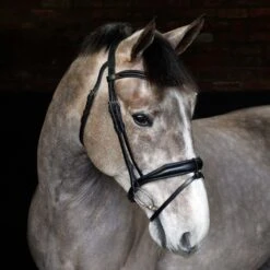 Cottage Craft Flash Bridle Black