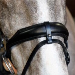 Cottage Craft Flash Bridle Black -Saddle Store flash black.2