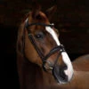 Cottage Craft Flash Bridle Brown