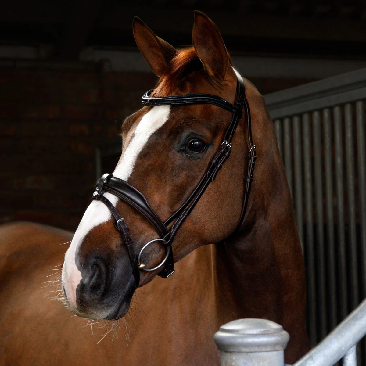 Cottage Craft Flash Bridle Brown 2 Cottage Craft Flash Bridle Brown - Image 2