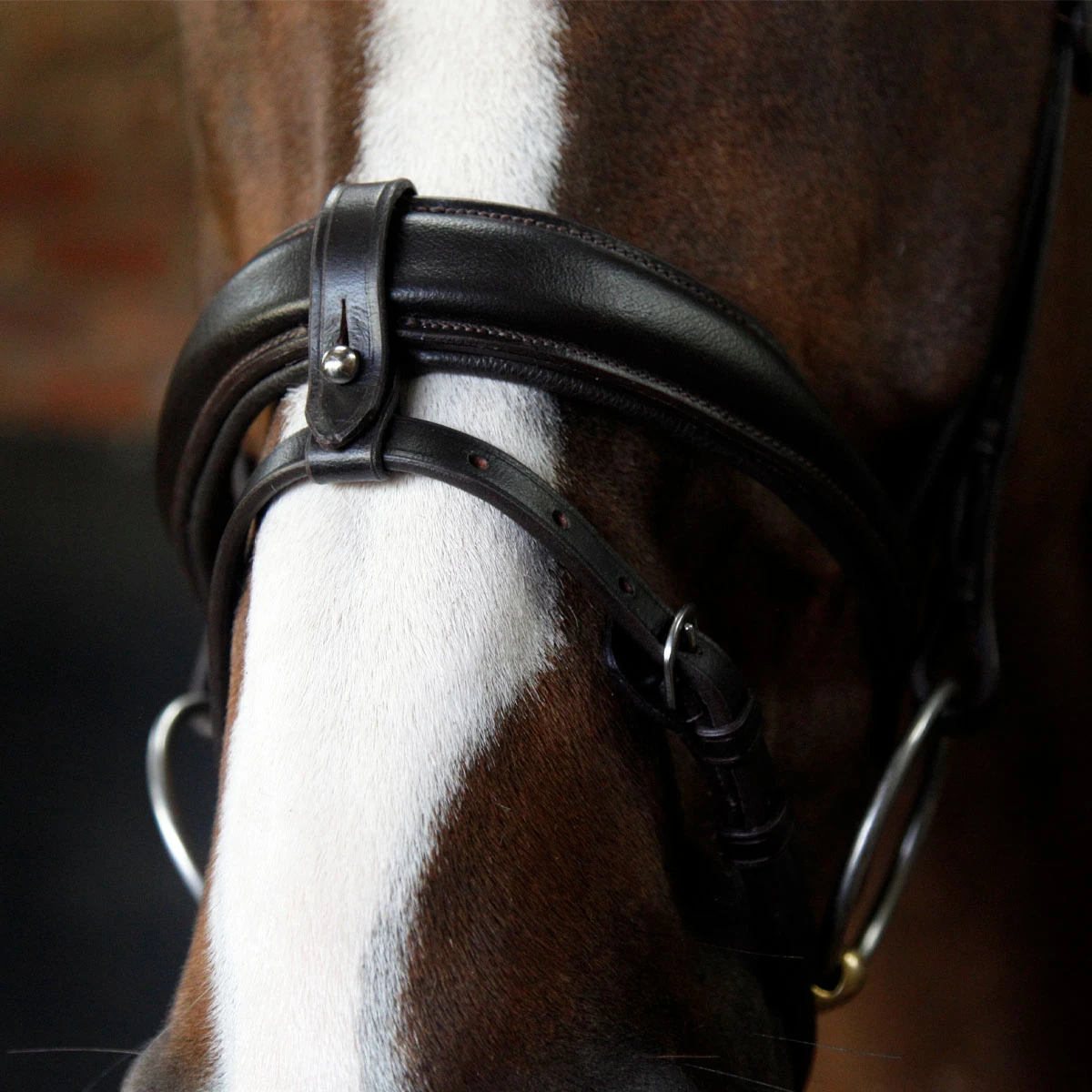 Cottage Craft Flash Bridle Brown 3 Cottage Craft Flash Bridle Brown - Image 3