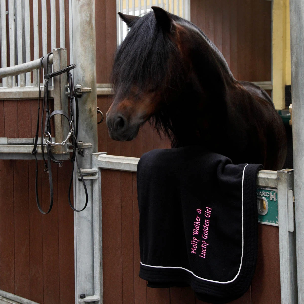 Masta Horse Fleece Rug Standard Neck Black 6 Masta Horse Fleece Rug Standard Neck Black - Image 6