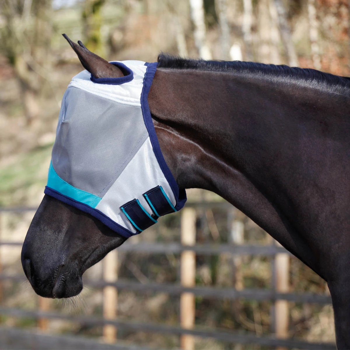 Masta Fly Mask Teal 2 Masta Fly Mask Teal - Image 2