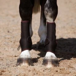 Masta Air-Flux Schooling Wrap Boot Brown 7 Masta Air-Flux Schooling Wrap Boot Brown -Saddle Store front 7