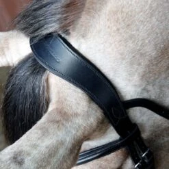 Cottage Craft Grackle Bridle Black -Saddle Store grackle bridle black.4