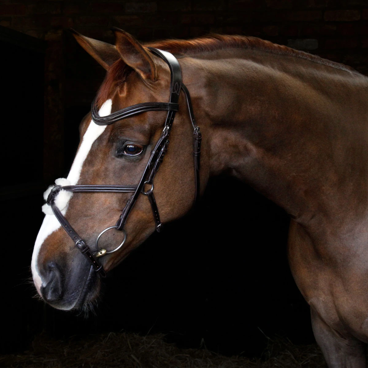 Cottage Craft Grackle Bridle Brown 1 Cottage Craft Grackle Bridle Brown