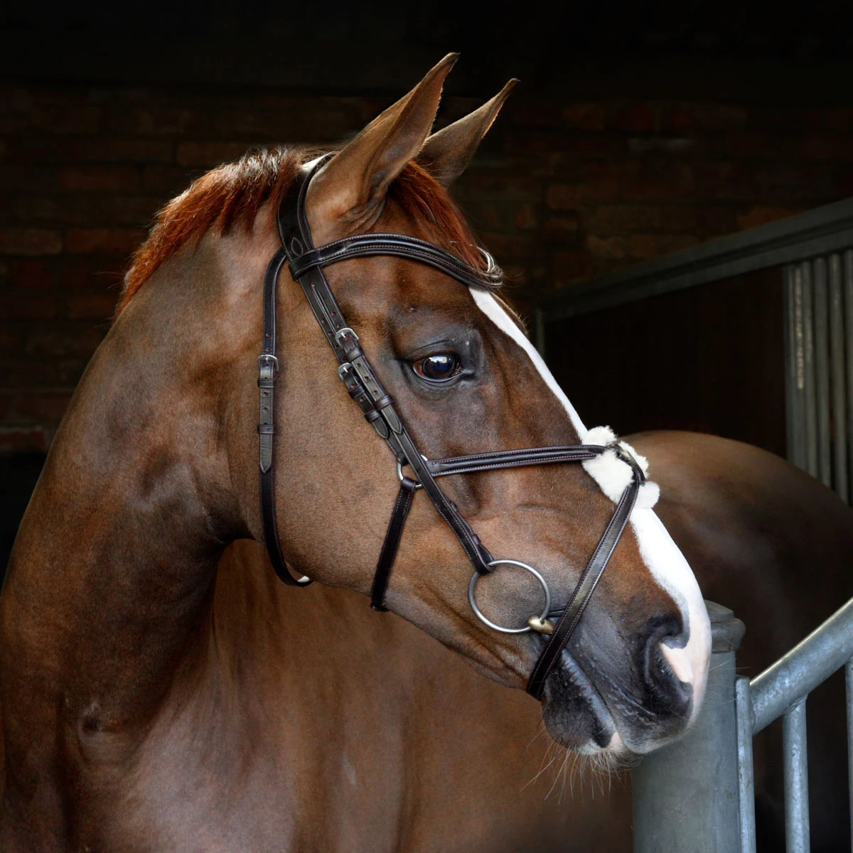 Cottage Craft Grackle Bridle Brown 2 Cottage Craft Grackle Bridle Brown - Image 2