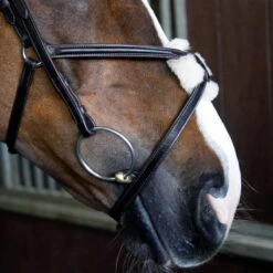 Cottage Craft Grackle Bridle Brown 6 Cottage Craft Grackle Bridle Brown -Saddle Store grackle bridle brown.3