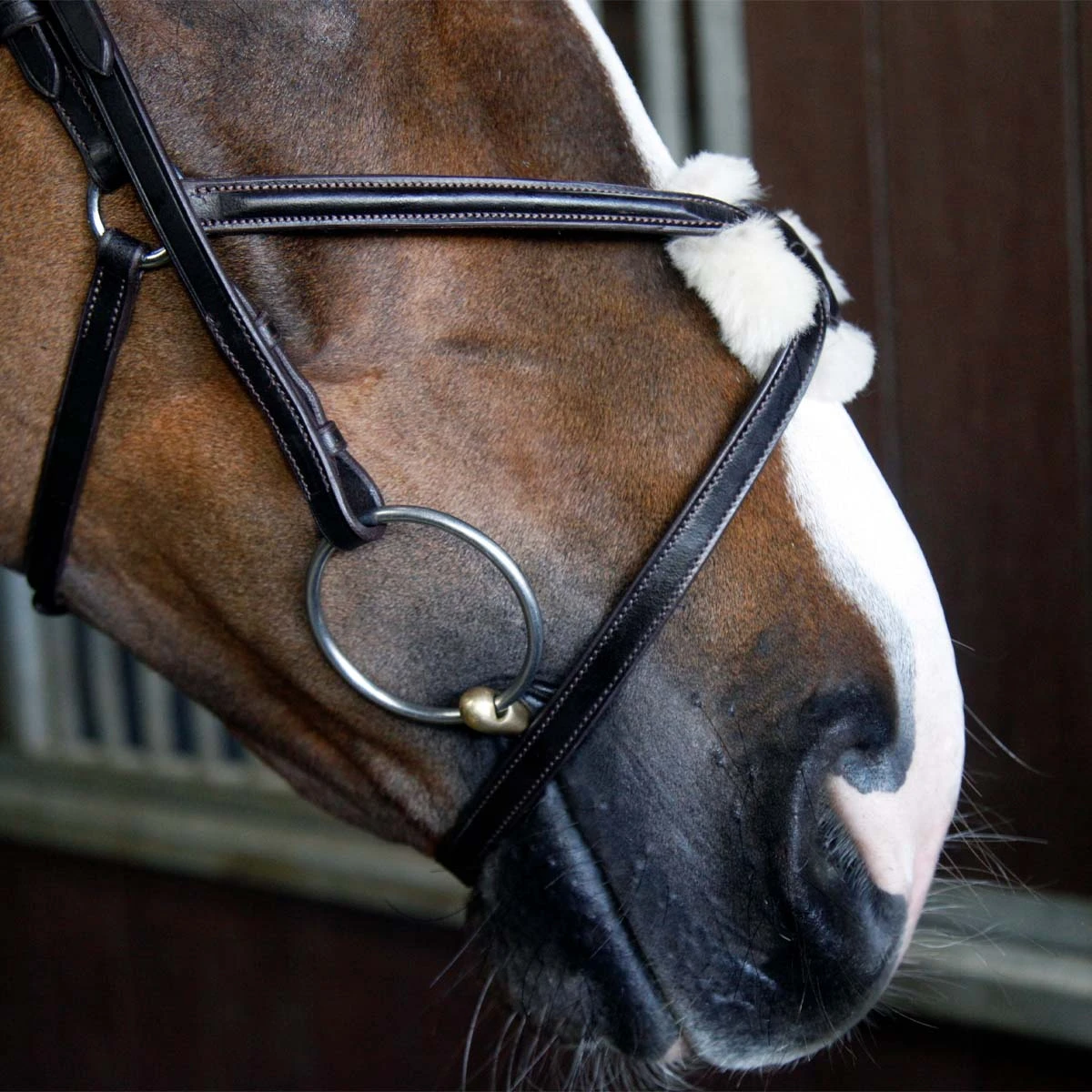 Cottage Craft Grackle Bridle Brown 3 Cottage Craft Grackle Bridle Brown - Image 3