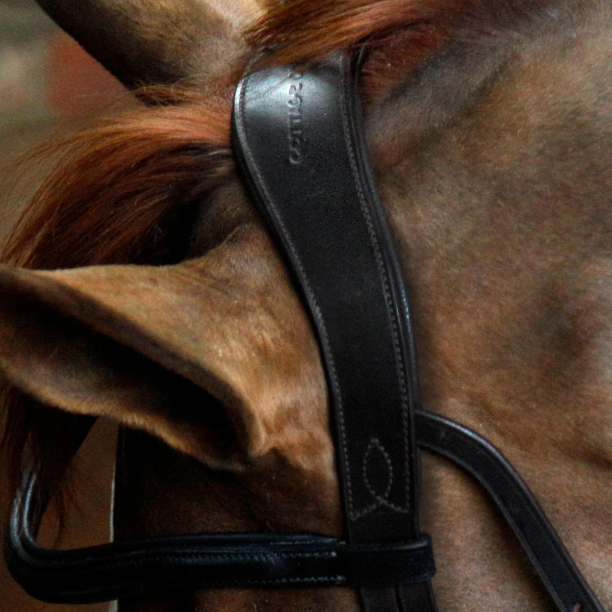 Cottage Craft Grackle Bridle Brown 4 Cottage Craft Grackle Bridle Brown - Image 4