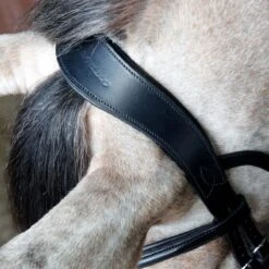 Cottage Craft Flash Bridle Black -Saddle Store headpiece black