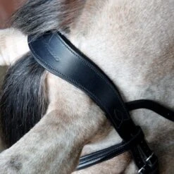 Cottage Craft Cavesson Bridle Black 5 Cottage Craft Cavesson Bridle Black -Saddle Store headpiece black 14.56.56