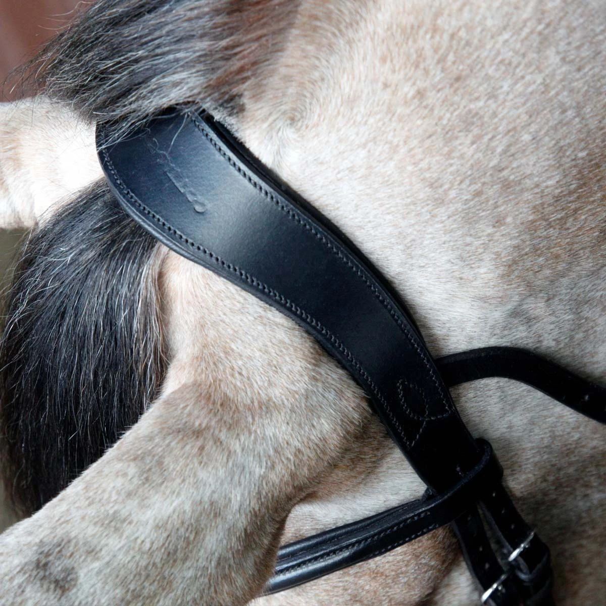 Cottage Craft Cavesson Bridle Black 3 Cottage Craft Cavesson Bridle Black - Image 3