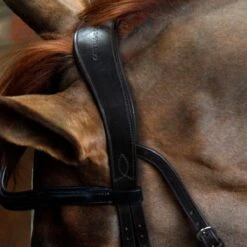 Cottage Craft Cavesson Bridle Brown -Saddle Store heapiece brown.6