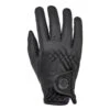 Harry Hall Riding Glove With Fleece Lining Black