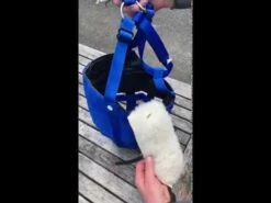 The Ultimate Muzzle Wool Chin Pad White -Saddle Store hqdefault 28 14