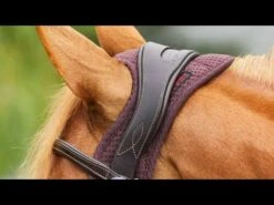 Protechmasta Infrared Poll Guard Brown 5 Protechmasta Infrared Poll Guard Brown -Saddle Store hqdefault 29