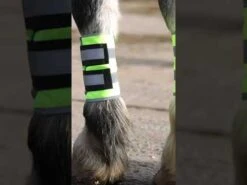 Masta Hi Viz Leg Wraps Yellow -Saddle Store hqdefault 36 21