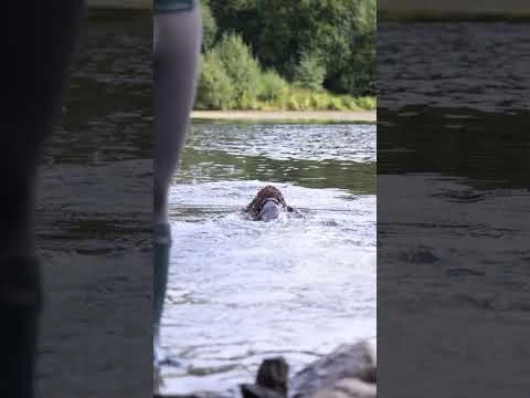 Caldene Westfield II Wellington Brown 3 Caldene Westfield II Wellington Brown - Image 3