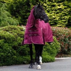 Fieldmasta 350g Heavyweight Combo Turnout Rug Burgundy