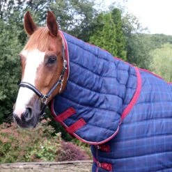 Snugmasta 250g Mediumweight Combo Neck Stable Rug Navy Blue 10 Snugmasta 250g Mediumweight Combo Neck Stable Rug Navy Blue -Saddle Store image 4 snugmasta