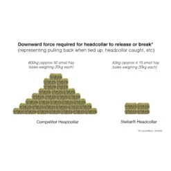 Equilibrium Stellar Safety Headcollar Brown 16 Equilibrium Stellar Safety Headcollar Brown -Saddle Store infographic