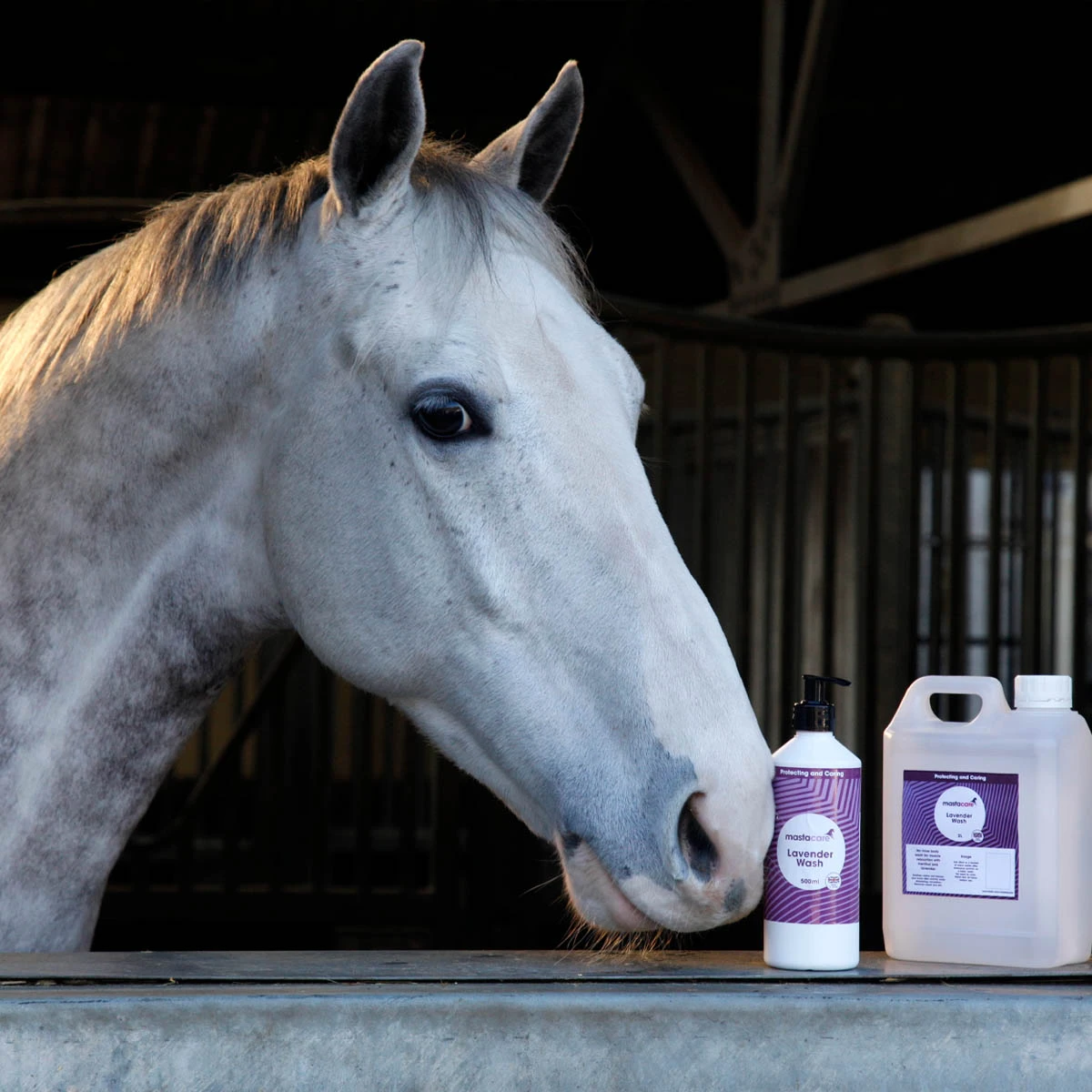 Mastacare Equestrian Lavender Horse Wash Refill 2L 2 Mastacare Equestrian Lavender Horse Wash Refill 2L - Image 2