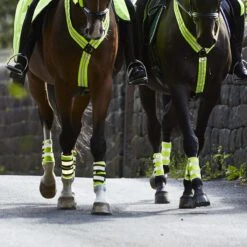 Masta Hi Viz Leg Wraps Yellow -Saddle Store leg wraps yellow.2
