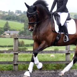 Protechmasta Infrared Fly Veil With Soundproof Ears -Saddle Store lifestyle 1 black