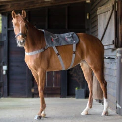 Equilibrium Massage Pad Standard