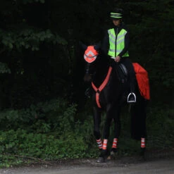 Masta Hi Viz Fly Veil Orange 9 Masta Hi Viz Fly Veil Orange -Saddle Store lifestyle 1 orange
