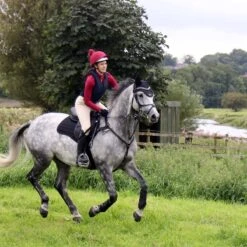 Protechmasta Infrared Fly Veil With Soundproof Ears -Saddle Store lifestyle 4 black