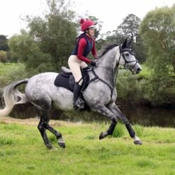 Protechmasta Infrared Airmesh GP / Jump Saddlecloth Black -Saddle Store lifestyle black gp 1