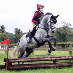 Protechmasta Infrared Airmesh GP / Jump Saddlecloth Black -Saddle Store lifestyle black gp 2