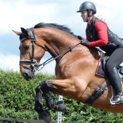 Protechmasta Infrared Poll Guard 7 Protechmasta Infrared Poll Guard -Saddle Store lifestyle black poll guard