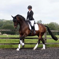 Protechmasta Infrared Airmesh Dressage Saddlecloth White 19 Protechmasta Infrared Airmesh Dressage Saddlecloth White -Saddle Store lifestyle dressage 2