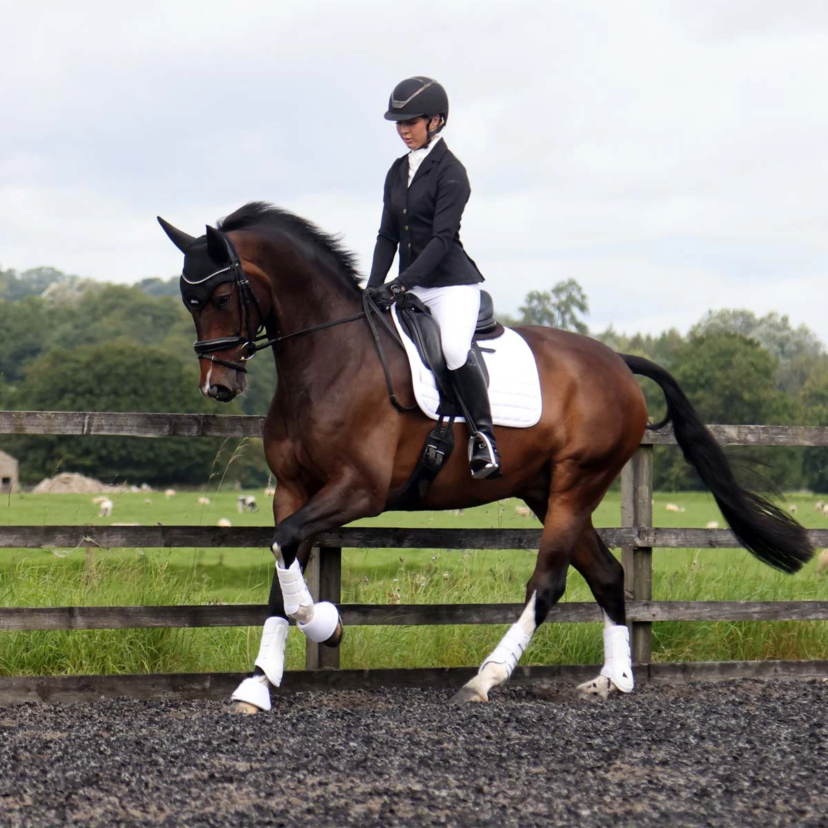 Protechmasta Infrared Airmesh Dressage Saddlecloth White 10 Protechmasta Infrared Airmesh Dressage Saddlecloth White - Image 10