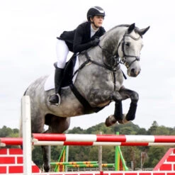 Protechmasta Infrared Airmesh GP / Jump Saddlecloth White 11 Protechmasta Infrared Airmesh GP / Jump Saddlecloth White -Saddle Store lifestyle gp pad white 1