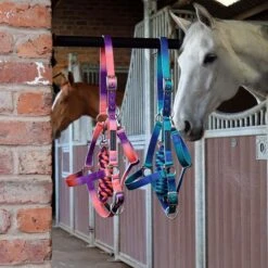 Cottage Craft Ombre Headcollar Purple -Saddle Store lifestyle headcollars 1