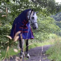 Fieldmasta 100g Combo Neck Turnout Rug Navy Blue 11 Fieldmasta 100g Combo Neck Turnout Rug Navy Blue -Saddle Store lifestyle image 1 ma5448