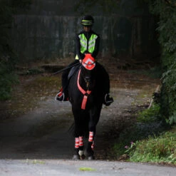 Masta Hi Viz Breast Plate Orange 7 Masta Hi Viz Breast Plate Orange -Saddle Store lifestyle orange 2