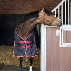 Ventomasta 100g Lightweight Standard Neck Stable Rug Black -Saddle Store lifestyle pony ma7682