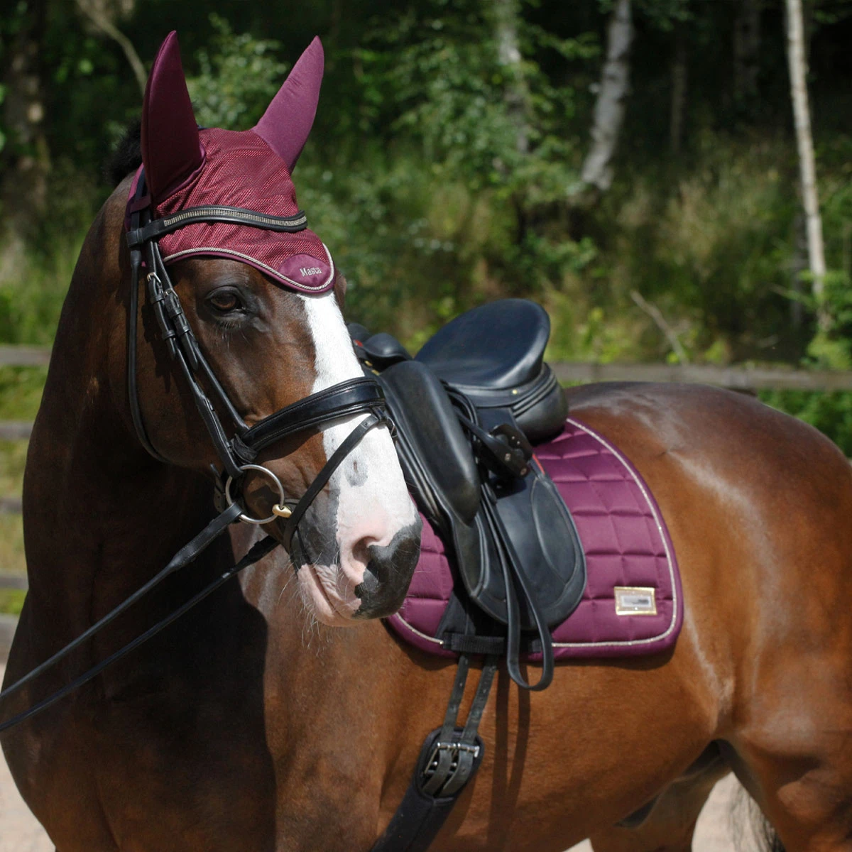 Protechmasta LUX Dressage Saddlecloth Dark Purple 2 Protechmasta LUX Dressage Saddlecloth Dark Purple - Image 2