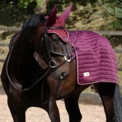 Protechmasta LUX Far Infrared Quarter Sheet Dark Purple