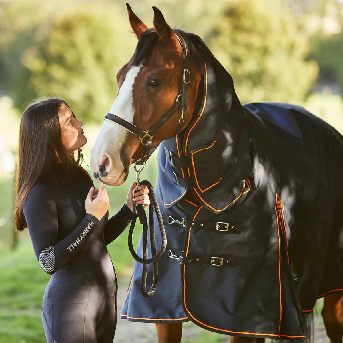 Fieldmasta 350g Heavyweight Combo Turnout Rug Black 7 Fieldmasta 350g Heavyweight Combo Turnout Rug Black - Image 7