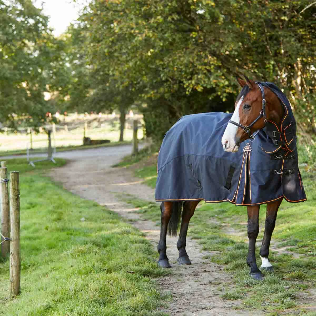 Fieldmasta 350g Heavyweight Combo Turnout Rug Black 8 Fieldmasta 350g Heavyweight Combo Turnout Rug Black - Image 8