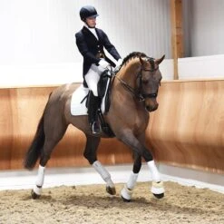 Protechmasta Infrared Airmesh Dressage Saddlecloth White 15 Protechmasta Infrared Airmesh Dressage Saddlecloth White -Saddle Store ma5867 6