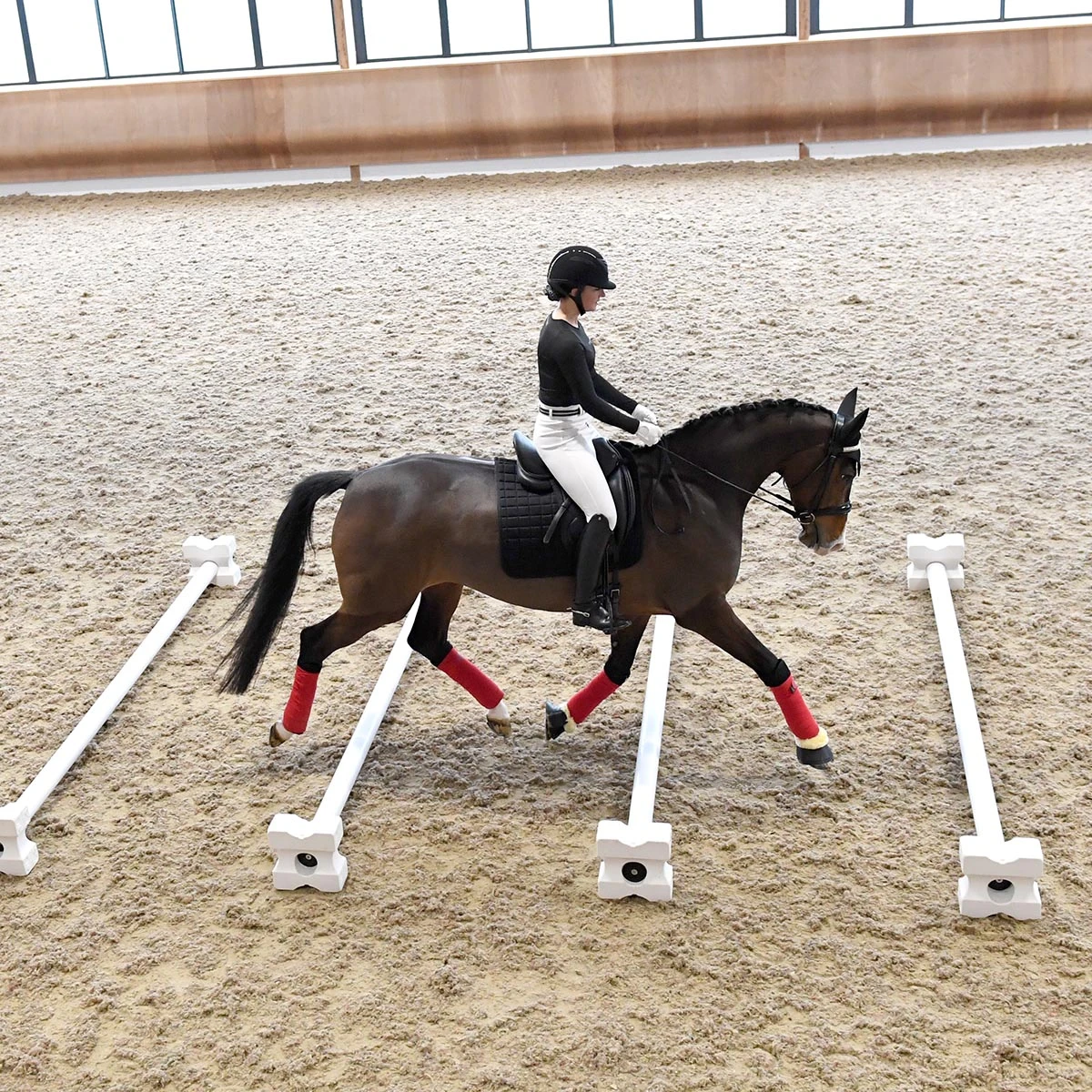 Protechmasta Infrared Airmesh Dressage Saddlecloth Black 6 Protechmasta Infrared Airmesh Dressage Saddlecloth Black - Image 6