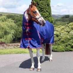 Ventomasta 200g Mediumweight Combo Neck Turnout Rug Navy Blue